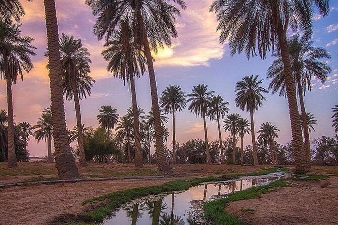 A tour in Al Ahsa the largest Oasis in the world - Qaisariah Souq, where shopping becomes part of the tour