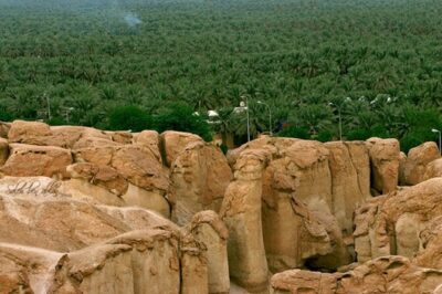 A tour in Al Ahsa the largest Oasis in the world