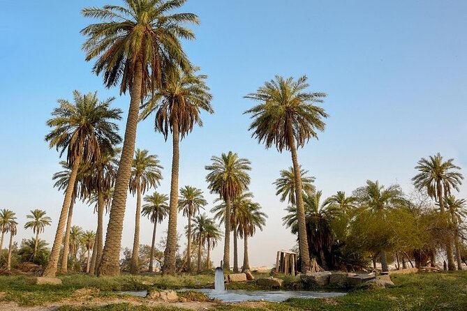A tour in Al Ahsa the largest Oasis in the world - What the guides add to the experience