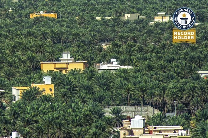 A tour in Al Ahsa the largest Oasis in the world - Who should book this Al Ahsa tour?