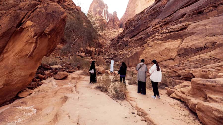 Al Ula: Dadan and Jabal Ikmah Tombs Guided Tour - Guides, languages, and group handling