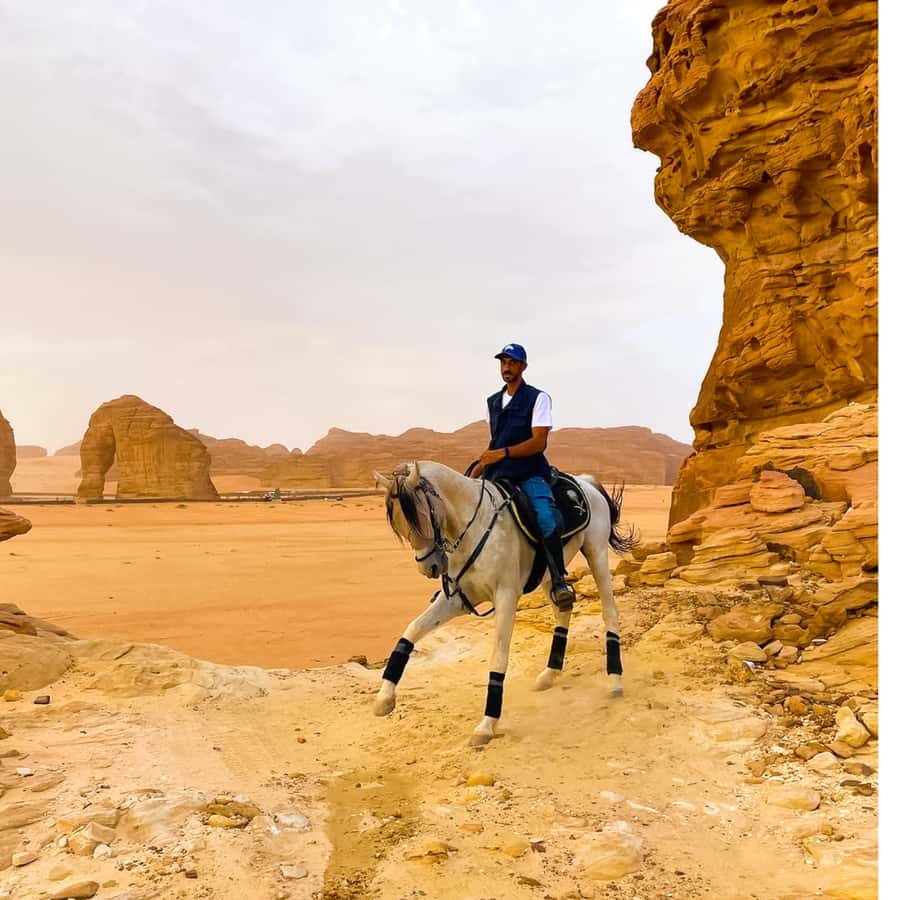 Al-Ula: Guided Horse Riding - What happens at the Alzahra Stable