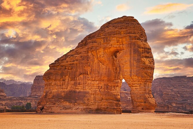 AlUla City Tour with 5 Attractions - Ancient carvings and stories of AlUla’s people