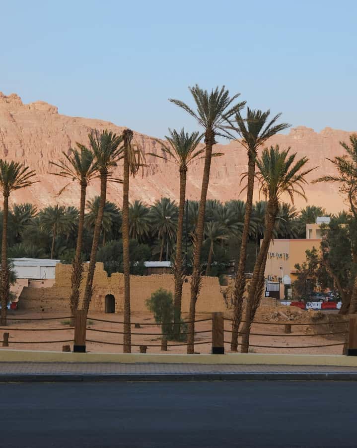 AlUla: Discover AlUla Like a Local Guided Tour - Is $296 per person a fair price?