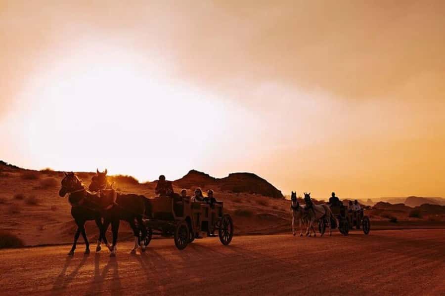 AlUla: Hegra After Dark Show with Chariot Ride - Market workshops and included activities