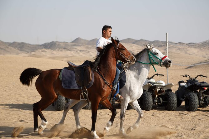 Desert Safari with Quad Bike Tours Jeddah - One hour on a quad bike