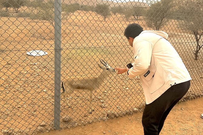 Edge of The World & Deer Reserve Off-road 4x4 Car Tour in Riyadh - Huraymila and the Arabian gazelle reserve