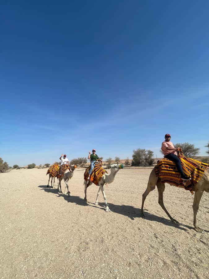 Edge of The World Riyadh,Camel Ride ,Bat Cave Visit & Dinner - The short camel ride: a taste of desert tradition