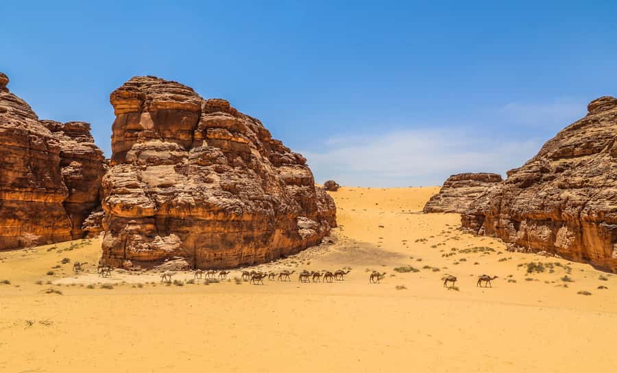 From AlUla: Hegra Tour - Key points to know before booking