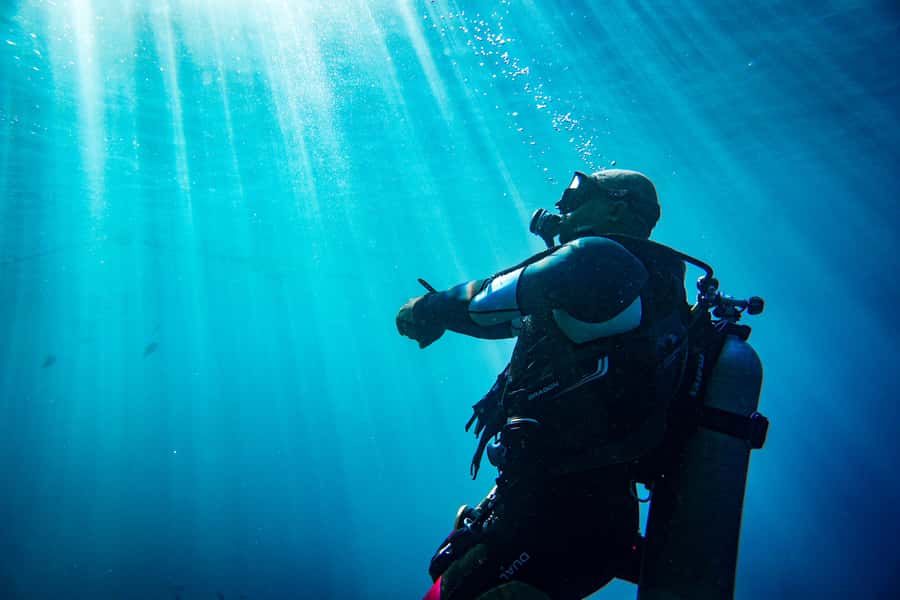 From Jeddah: Boat Trip and Diving for Certified Divers - Two one-hour sessions, with a proper pause between them