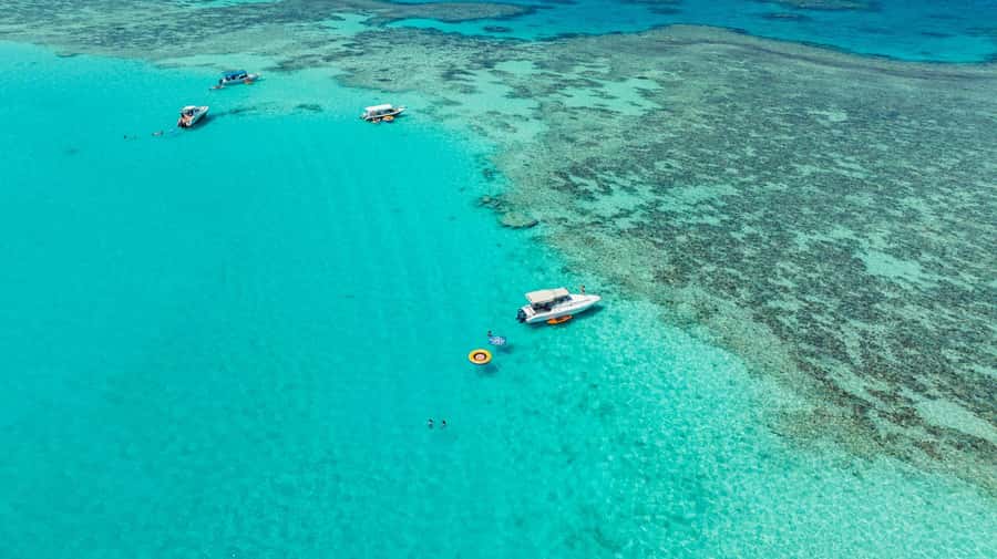 From Jeddah: Private Sea Trip to Bayadah Island - The snorkeling session and included guidance