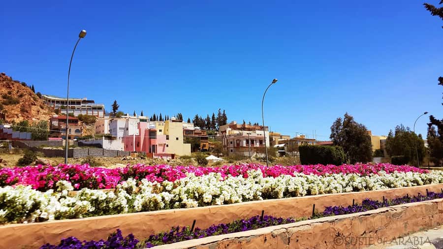 From Jeddah: Taif Day Tour - Shubra Palace and the old Taif story