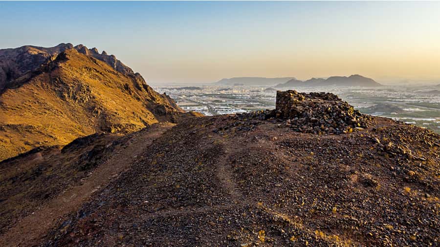 From Madinah: Half-Day Ziarah Tour - Key points to know before booking