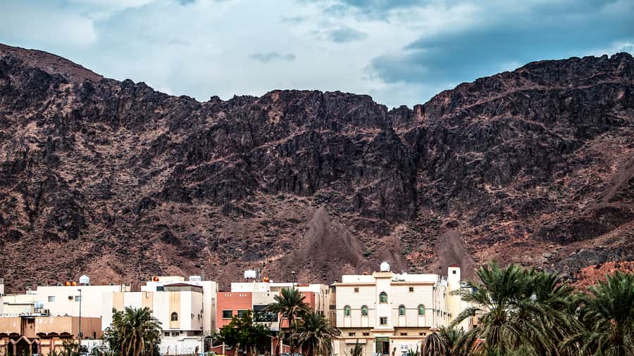 From Madinah: Half-Day Ziarah Tour - What Talha adds to the experience