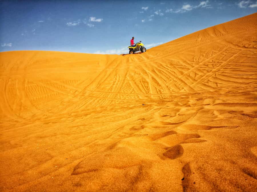 From Riyadh: Desert ATV Quad Bike Tour with Camel Ride - Who will enjoy this outing most?