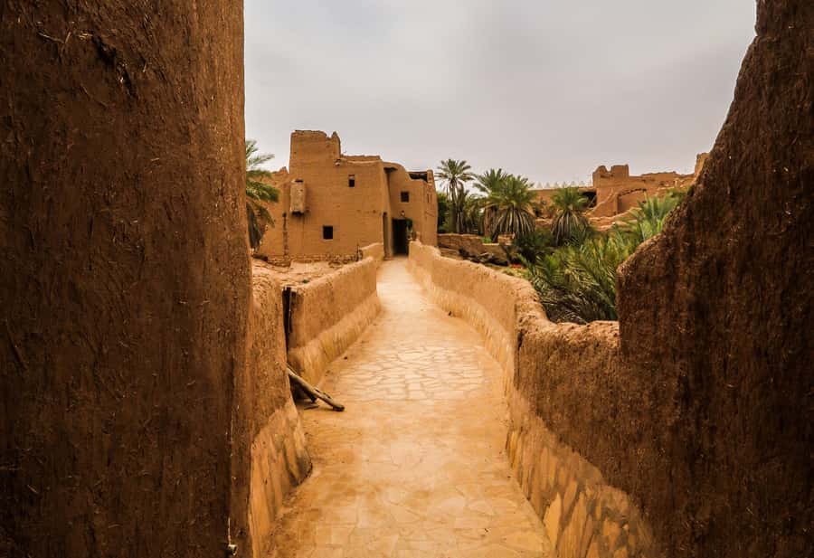 From Riyadh: Ushaiqer Village Highlights Tour with Transfer - Who should book this Ushaiqer tour?