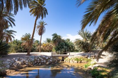 Full day Jabal Al Lawz with Biblical Sites visit