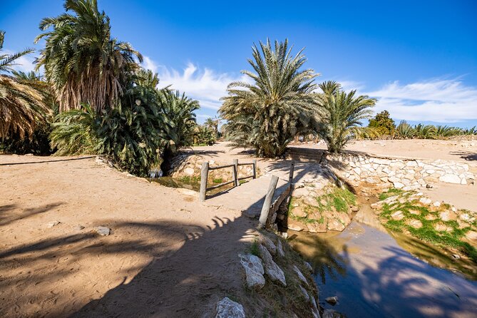 Full day Jabal Al Lawz with Biblical Sites visit - Jabal Al Lawz, rock art, and the 12 Stones