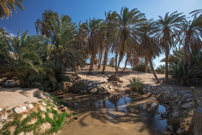 Full day Jabal Al Lawz with Biblical Sites visit - The guide can shape the whole experience