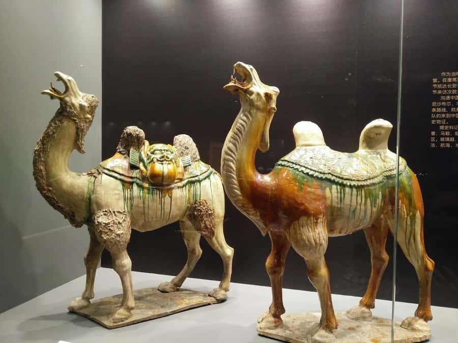Half Day in Riyadh, Almasmak, National Museum, Kingdom Tower - Who should book this experience?