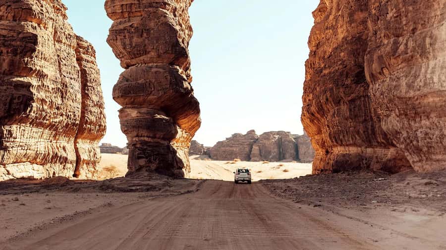 Hegra Tour: AlUla’s No.1 Haven For Nature, Wildlife Lovers - Who will enjoy this Hegra safari most?