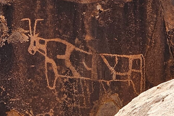 Historical Landmark in Tabuk Region Full Day Tour - Key points to know before you go