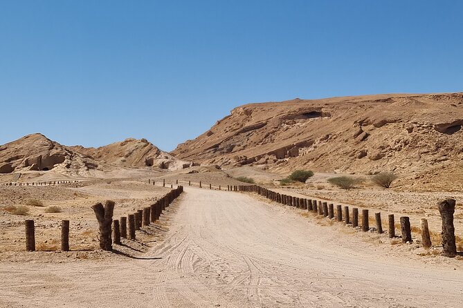 Historical Landmark in Tabuk Region Full Day Tour - What the private guide adds to the day