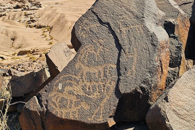 Historical Landmark in Tabuk Region Full Day Tour - Lunch, transport, and what the $600 price covers
