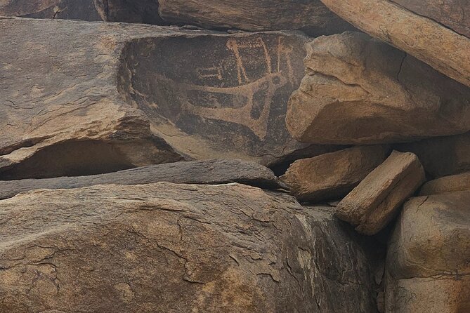 Historical Landmark in Tabuk Region Full Day Tour - Who should book this experience?