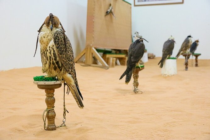 Historical Riyadh Self-Guided Audio Walking Tour - What this Riyadh audio walk actually offers