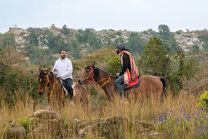 Horse Riding Experience in Riyadh | Tanomah | Jeddah | Al Ula - Three settings, three different rides