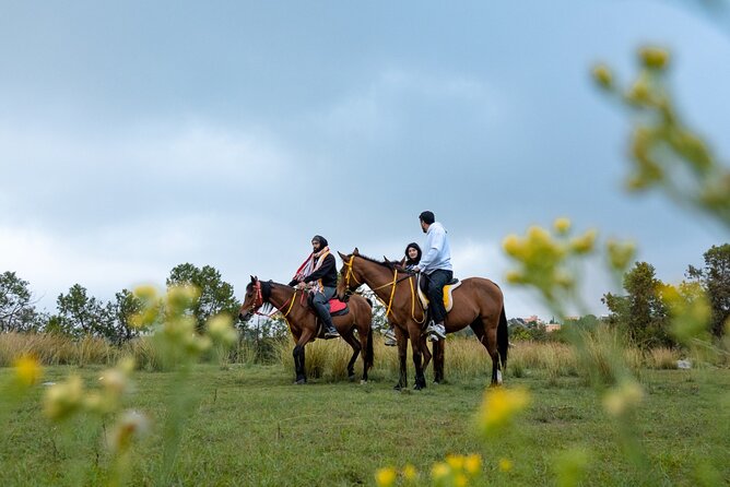Horse Riding Experience in Riyadh | Tanomah | Jeddah | Al Ula - What the $75 price really buys