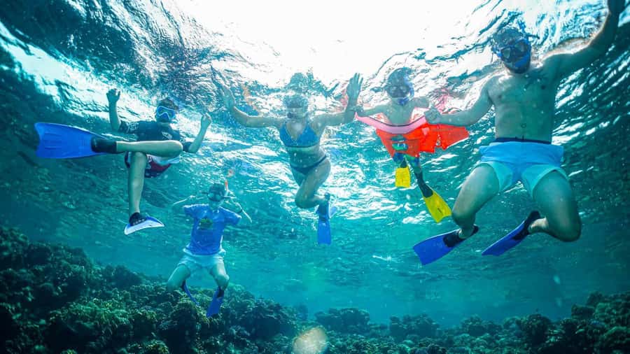 Jeddah: Guided Snorkeling Trip with Snacks and Drinks - Key points before you book