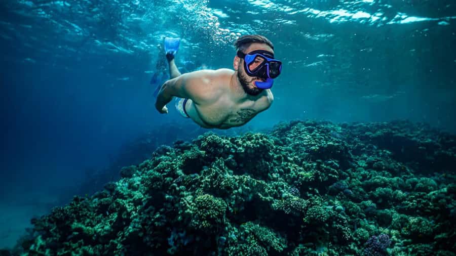 Jeddah: Guided Snorkeling Trip with Snacks and Drinks - What this Jeddah snorkeling trip is really like