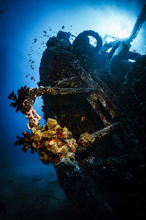 Jeddah: Guided Snorkeling Trip with Snacks and Drinks - First snorkeling stop: coral and fish