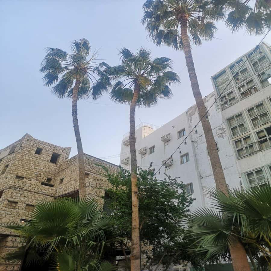 Jeddah: Historic District Tour by a Local licensed Guide - Two hours through four historic neighborhoods