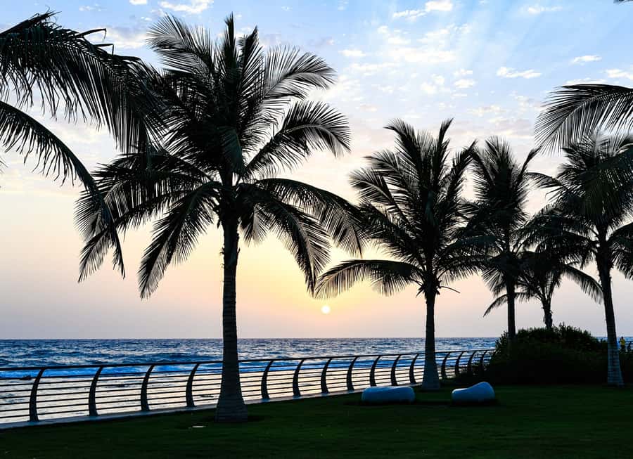 Jeddah: Jeddah Heritage Chronicles Tour with optional lunch - Is $77 good value?