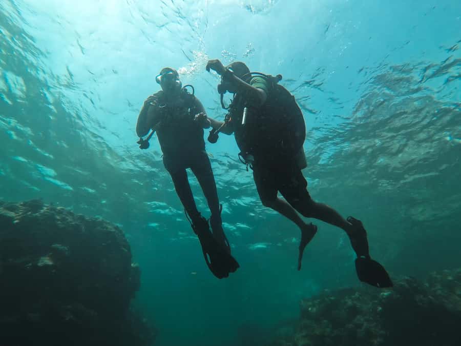 Jeddah: Red sea shore diving (Discovery) - Key details at a glance