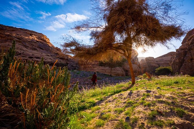 Journey Through Time Hike - An 8 km Route With Several Kinds of Ground