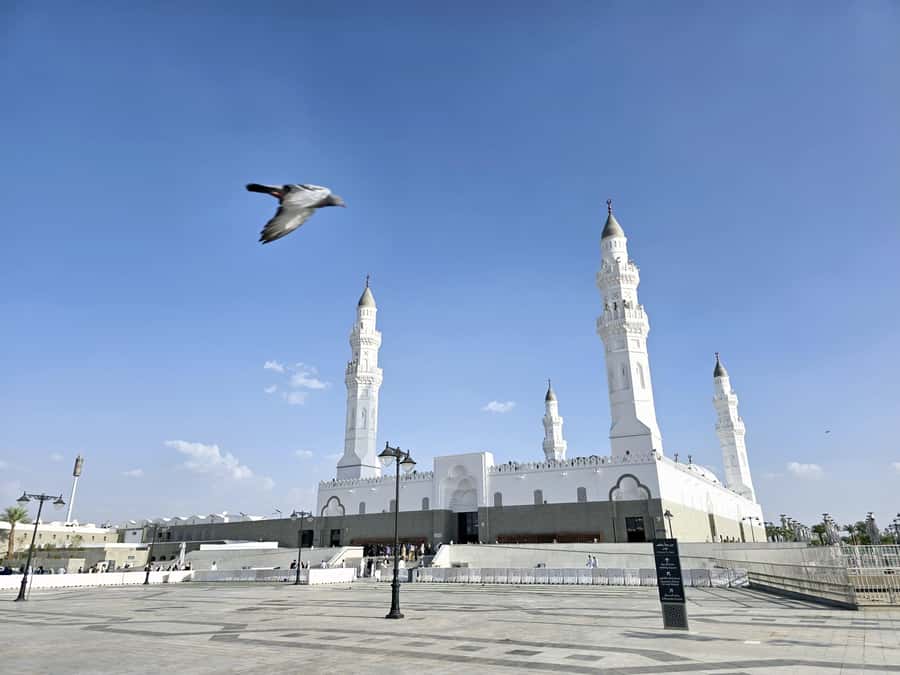 Madinah Culture & History Tour – Led by Local Guide - Wadi Al Aqiq, a quiet change of pace