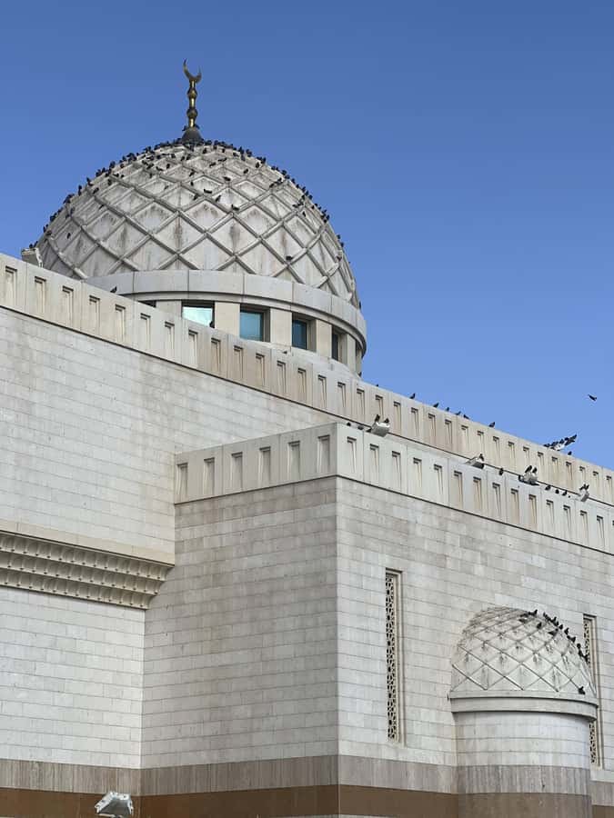 Madinah Culture & History Tour – Led by Local Guide - Tea, dates, and a farm outside the city