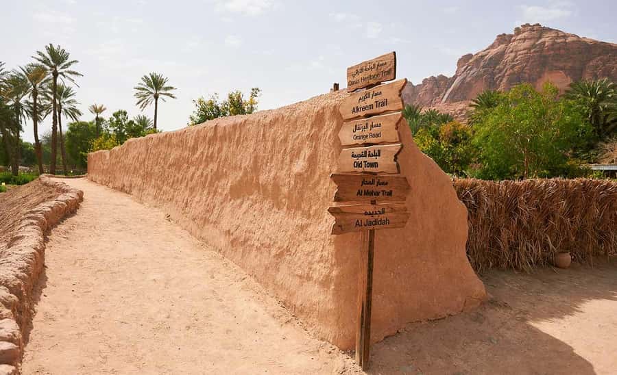 Oasis Adventure in Alula - Key points to know before booking