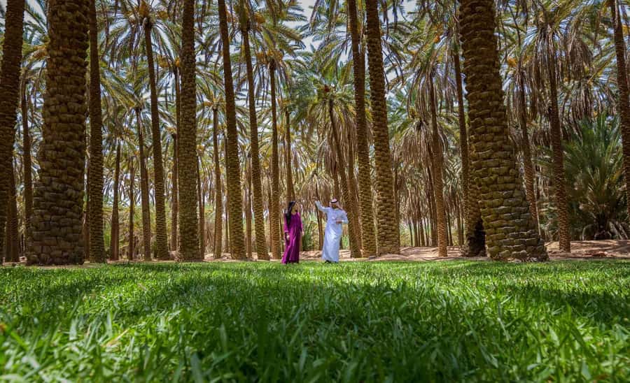 Oasis Adventure in Alula - Following the 3km Oasis Heritage Trail