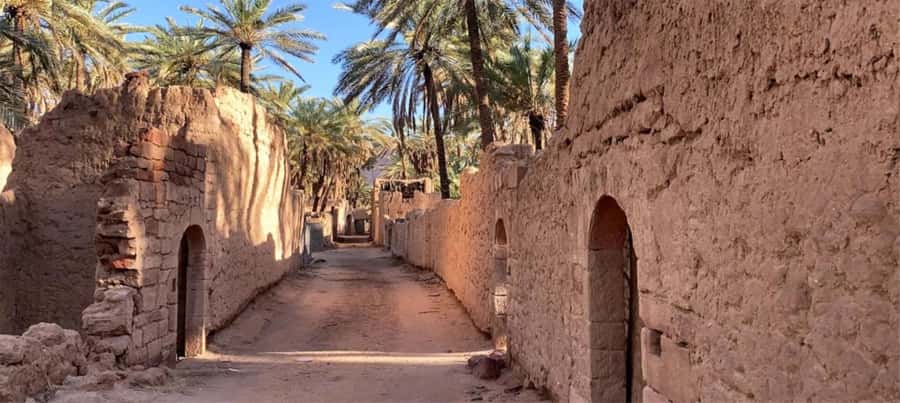 Oasis Adventure in Alula - Is $39 a fair price?