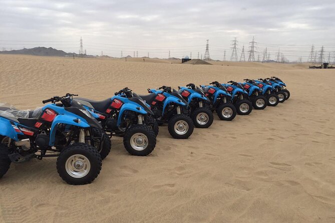 Private Desert Safari with Quad Bike Tour in Jeddah - Camels, camel milk, and a more personal side of the desert