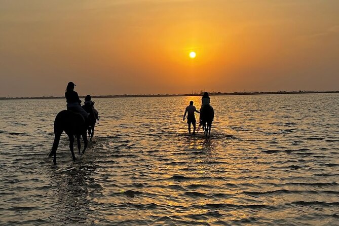 Private Horse Riding Experience at Red Sea - Key things to know before you book