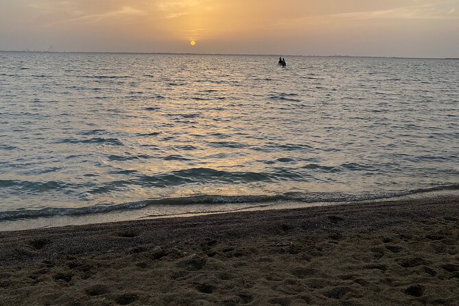 Private Horse Riding Experience at Red Sea - Starting at Hooves Stud in Jeddah