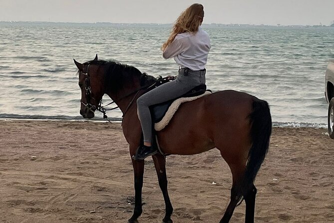 Private Horse Riding Experience at Red Sea - What the private format gives you