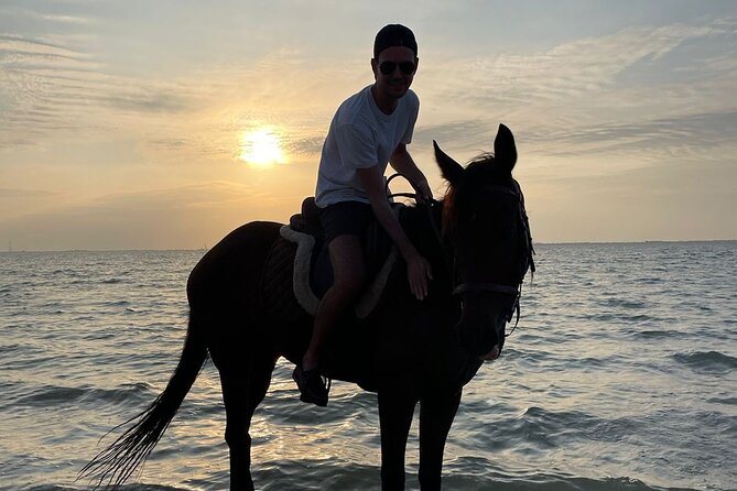 Private Horse Riding Experience at Red Sea - Is $90 a fair price?