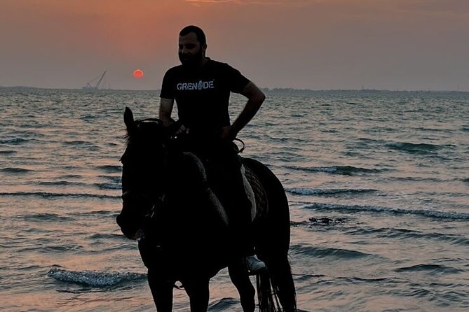 Private Horse Riding Experience at Red Sea - Who should book this experience?